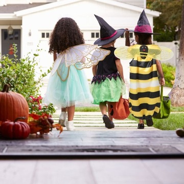 НАБОР КОСТЮМА ДЛЯ ВЕЧЕРИНКИ ПЧЕЛЫ С АКСЕССУАРАМИ