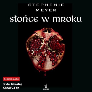 Słońce w mroku - Audiobook mp3