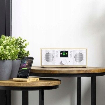 Стерео интернет-радио с дистанционным управлением WIFI BT