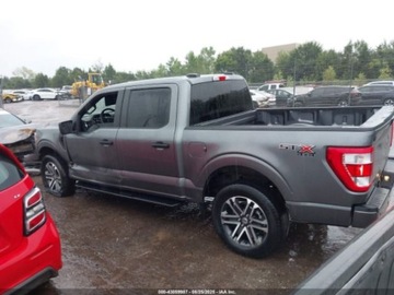 Ford 2023 Ford F150 XL 2023 5.0l 5.0 Benzyna 400KM, zdjęcie 2