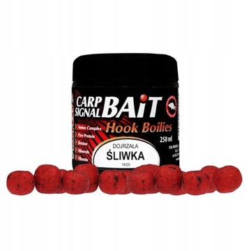PROFESS - Kulki Proteinowe DOJRZAŁA ŚLIWKA - 250ml