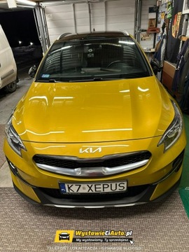 Kia XCeed Crossover 1.6 T-GDI 204KM 2021 Kia XCeed 1.6 T-GDi 204KM Automat Telefon:, zdjęcie 5