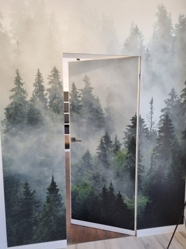 ПОЛНЫЕ СКРЫТЫЕ двери Sara Цвет P 80 снаружи