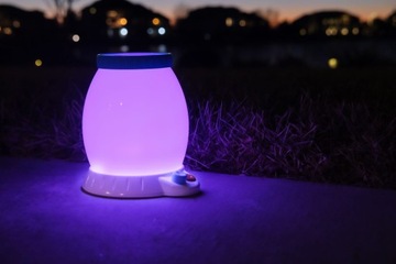 Ночник - Обсерватория насекомых Багги-Лайт