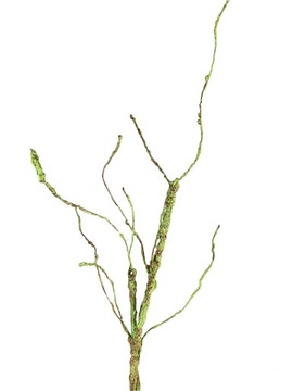 ВЕТКА, ДЕКОРАТИВНАЯ, ДЕКОРАТИВНАЯ ПЕНА, ИСКУССТВЕННЫЙ КОРЕНЬ ДЛЯ ВАЗЫ