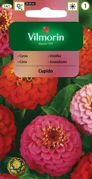 CYNIA WYTWORNA JAKOBINKA CUPIDO 1g VILMORIN