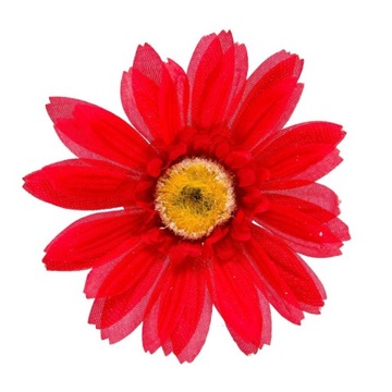 Gerbera Sat. Główka Wyrobowa 1 szt