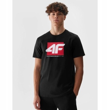 КОМПЛЕКТ МУЖСКОЙ СПОРТИВНОЙ ФУТБОЛКИ 4F ФУТБОЛКА ПОВСЕДНЕВНАЯ БЛУЗКА