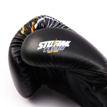 Боксерские перчатки StormCloud StarFall, 10 унций