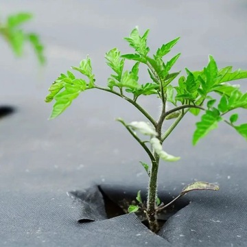 АГРО-НЕТКАНЫЙ КОВРИК 100G 1,6x100м ЧЕРНЫЙ УФ АГРО-НЕТКАНЫЙ КОВРИК ПРОТИВ ОРЯНЕЙ