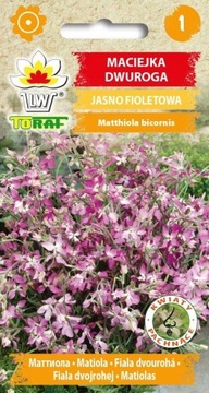 Maciejka Dwuroga Jasno Fioletowa 3 g