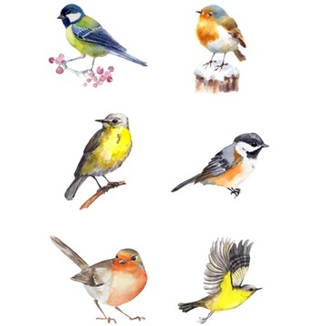 Наклейки на окна против столкновений Наклейки с птицами 6 шт.