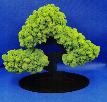 Дерево бонсай с 3D мхом, красивый мох со всех сторон