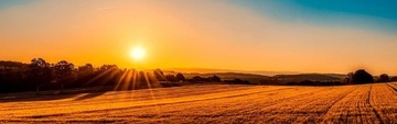 ЯЧМЕНЬ ДЛЯ ПТИЦЫ, ГОЛУБЕЙ, ОЧИЩЕННОЕ ЗЕРНО 20кг