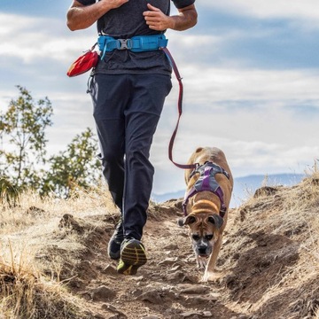 Kurgo RSG Active Belt - pas do biegania z psem, niebieski