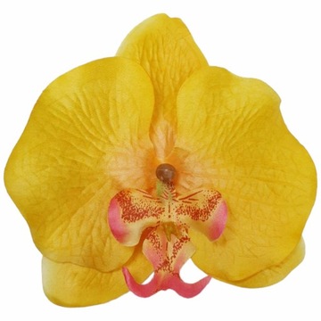 Główka wyrobowa kwiaty sztuczne storczyk 13 cm ORCHIDEA żółty
