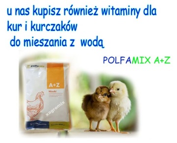 Витамины для кур-несушек ДЛЯ ТВЕРДОГО скорлупы
