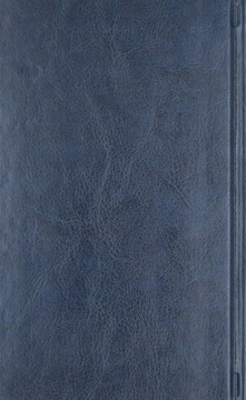 БИБЛИЯ ТЫСЯЧЕЛЕТИЯ - формат оазиса эко гранат [КНИГА]