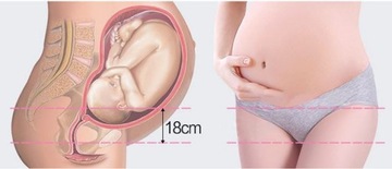 КОМПЛЕКТ трусиков под живот для беременных REGULOW M/L, 6шт.