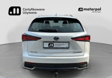 Lexus NX I SUV Facelifting 300h 197KM 2019 Lexus NX Elegance, Hak, Tempomat, Podgrzewane fotele, Rozpoznawanie znakow, zdjęcie 10