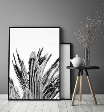 КАРТИНА-ПОСТЕР В РАМКЕ 43х33 см Кактусы P686