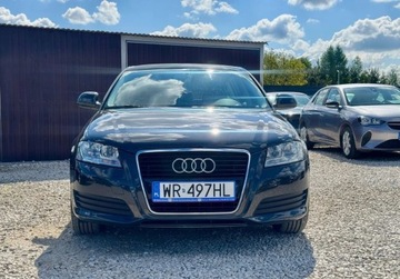 Audi A3 8P Hatchback 3d 1.6 102KM 2008 Audi A3 Sportback 1.6 MPI 102KM skory PDC cliamtronic tempoamt alu grzane, zdjęcie 3