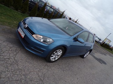 Volkswagen Golf VII Hatchback 3d 1.6 TDI-CR DPF 105KM 2013 VOLKSWAGEN GOLF VII 1.6 TDI Z NIEMIEC ZAREJESTROWANY, zdjęcie 11