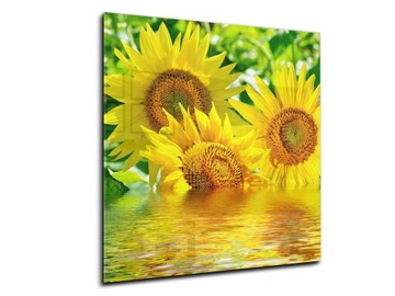 panel szklany do kuchni lacobel 50x55 słonecznik