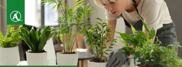 Распылитель Marolex Mini 500 мл