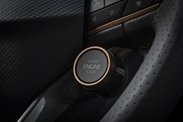 Cupra Formentor Crossover 1.5 TSI 150KM 2026 Cupra Formentor 1.5 e-TSI 150 KM DSG - Dostępny, zdjęcie 22