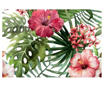 Fototapeta 368x254cm Duże kwiaty orchidei