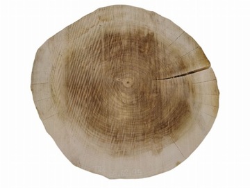 Plaster Topoli 65x62cm Drewno do Obrobienia w Domu