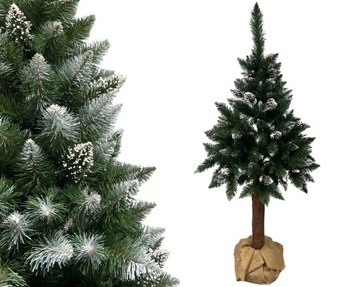 CHOINKA SZTUCZNA SOSNA ŚNIEŻONA PREMIUM NA PNIU 220cm
