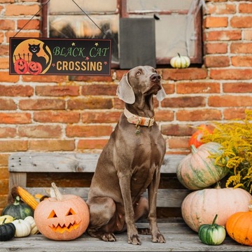 WIESZAK Z DYNIĄ DEKORACYJNY WISIOREK NA HALLOWEEN DEKORACJE DOMU DEKORACJE NA HALLOWEEN