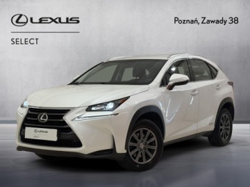 Lexus NX I SUV 300h 197KM 2014 Lexus NX 300h Elite AWD I (2014-2021) Lexus NX 300