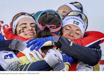 LillSport Roller Черные перчатки для роликовых лыж, размер 9