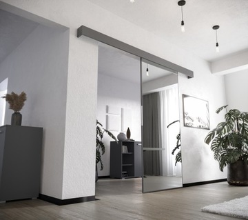 Раздвижная дверь Внутреннее зеркало VDLO96 O-диван