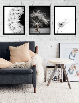 НАБОР 50x40 РАМКА ПОСТЕР ИЗОБРАЖЕНИЕ ОДУВШИНЫ ВОСХИТИТЕЛЬНО