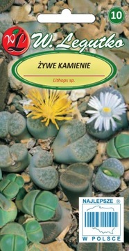 ŻYWE KAMIENIE SUKULENT DO DONICY 50 nasion