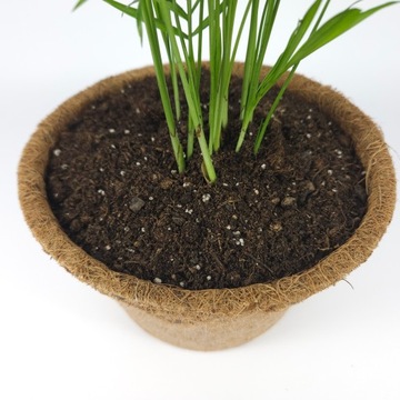 Грунт для субстрата ZAMIOKULKAS 5л