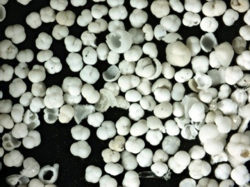 Микроскоп Delta Optical Biolight 100 белый