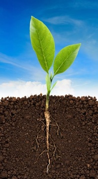 Универсальная цветочная почва с удобрением Биовита 50л