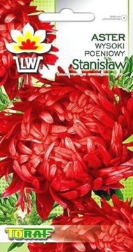 Aster peoniowy wysoki Stanisław czerwony nasiona