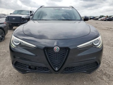 Alfa Romeo Stelvio 2021 Alfa Romeo Stelvio Sport 2021 2.0l 2.0 Benzyna 280KM, zdjęcie 5