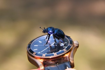 ПОСТЕР из фотографии - матовая печать EPSON Premium A0