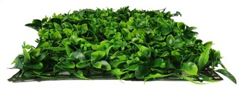 МАТОВЫЕ ЗЕЛЕНЫЕ РАСТЕНИЯ 40Х60 см ИЗЖИВАЯ ИЗГОРОДА листья