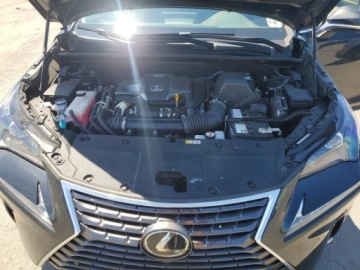 Lexus NX II 2021 Lexus NX 300 Base 2021 2.0 Benzyna 235KM, zdjęcie 6