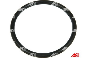 AS-PL O-RINGI ALTERNATORA