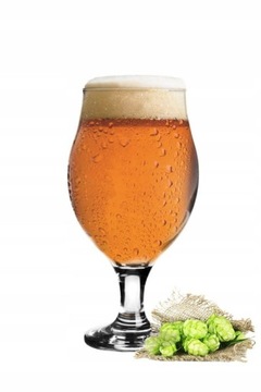 Glasmark Pokal szklanka do piwa na nóżce 500 ml