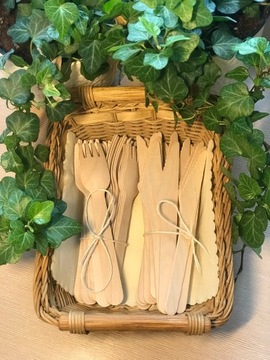 ЭКО гриль набор одноразовой посуды на 50 персон